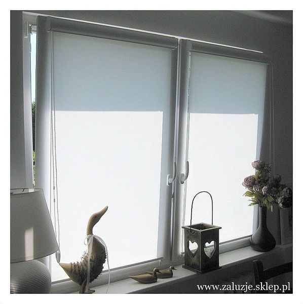 Rolety okienne z profesjonalnym montażem. Oferujemy wysoką jakość, różnorodne wzory i kolory. Dodaj funkcjonalność i estetykę do swoich okien dzięki naszym roletom.