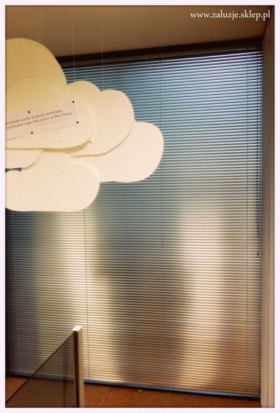 Biurowa żaluzja pozioma ( szerokość pióra 25mm )