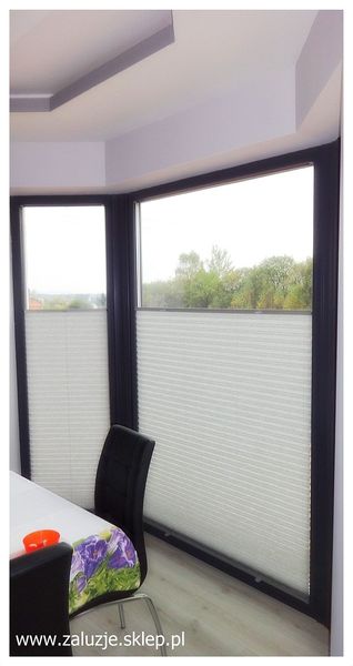 Plisy na oknach drewnianych.