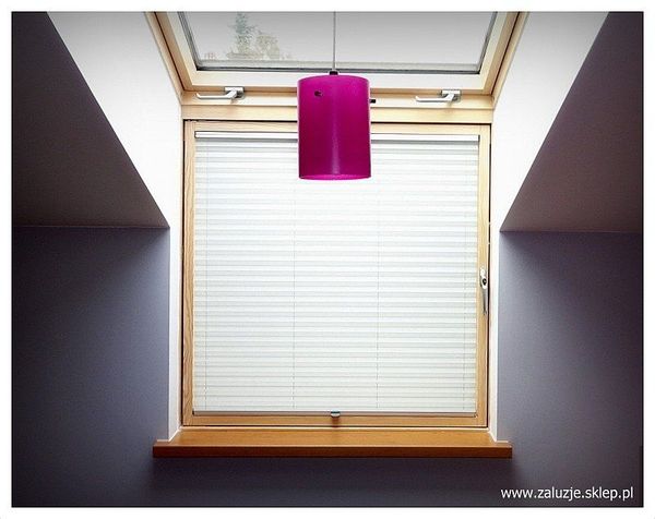 Dachowa plisa biała