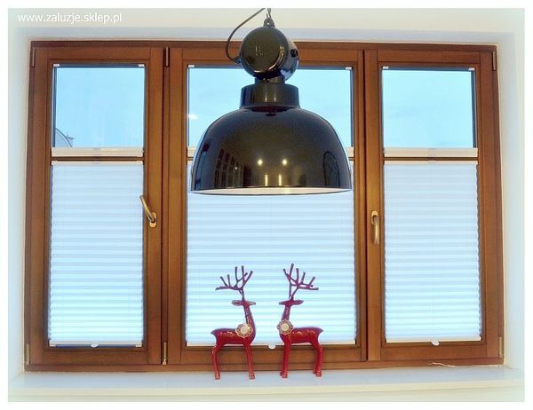 Niebieskie plisy okienne