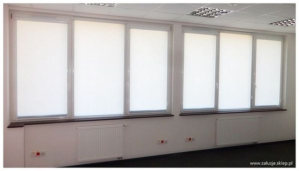 Białe rolety do biura