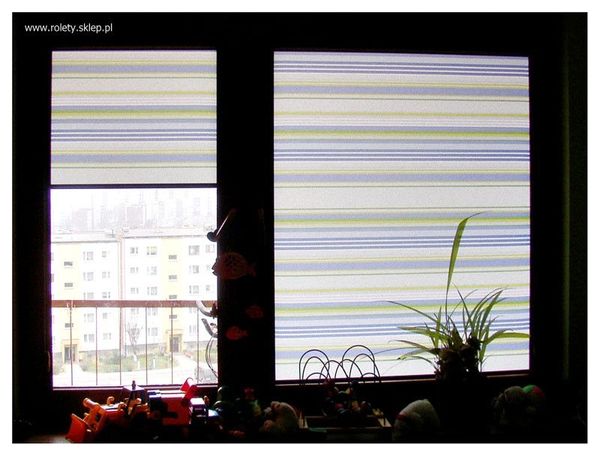 Rolety kasetowe z prowadnicami